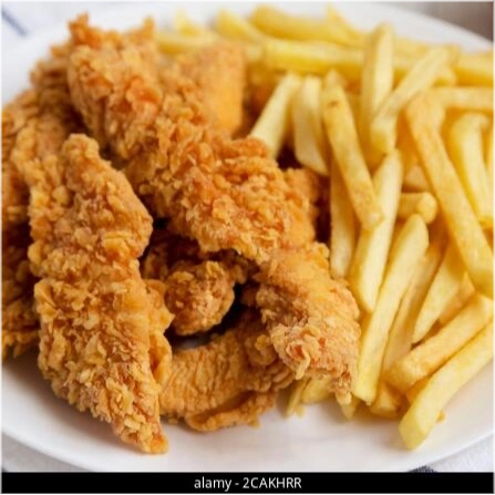 Kiptenders Schotel (4 stuks)